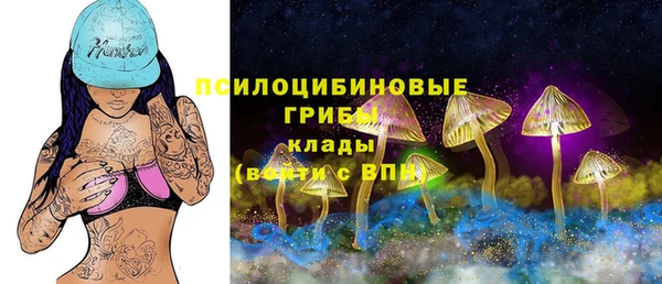 тгк Иннополис