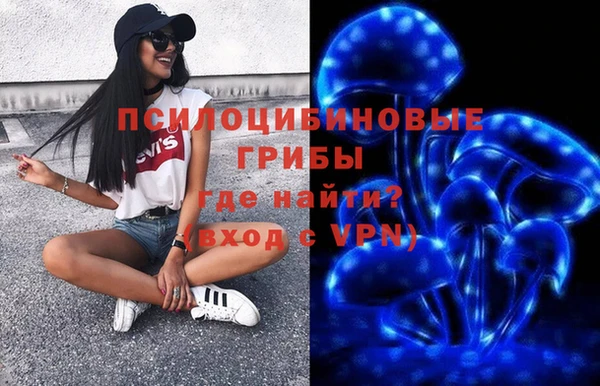 эйфоретик Инта